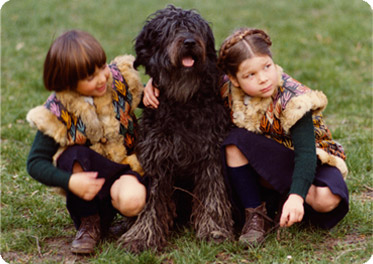 esemplare pastore bergamasco